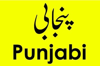 teach you punjabi language professionally