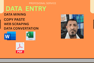 do accurate data entry,copy paste, web research and data mining job