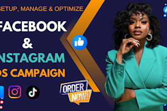 run shopify fb ads and optimize fb advertising for your business leads and sales