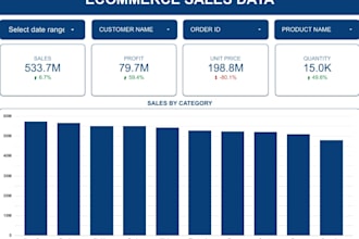 create professional data analysis and interactive looker studio reports