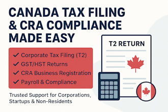 file your canada year end corporate tax return and financial statements