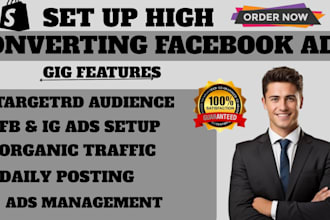 setup shopify facebook ads, instagram ads, fb advertising to boost shopify sales