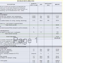 provide end to end project management services from planning to completion
