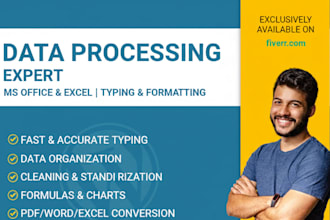 be your data processing expert, ms office for fast typing formatting data