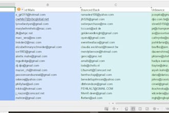 do web research, data clean, scrub, copy paste and targeted leads
