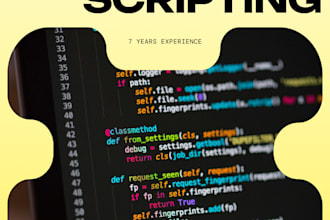 code your python script, API, automation or backend