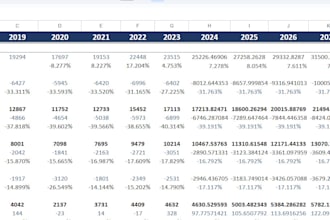 build a professional financial model for you