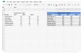 do accurate data entry in google sheets, docs and pdf