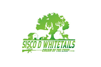 design glamorous logo with exotic ranch in texas