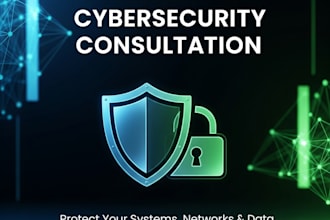 provide expert cyber security consultation