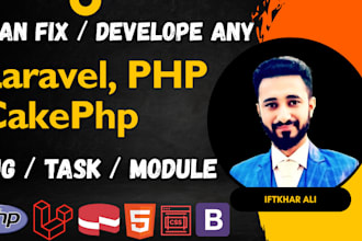 fix bugs, errors in laravel, cakephp web applications