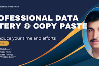 do accurate copy paste and data entery services