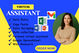 virtual assistant for data entry, data collection, web research and admin tasks
