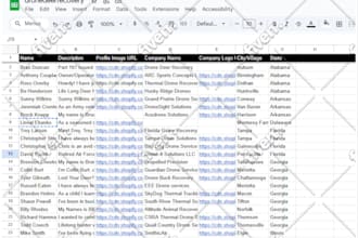 data entry  expert  copy paste