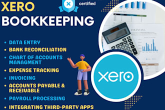 bookkeeping, clean up, catch up, and reconciliation in xero