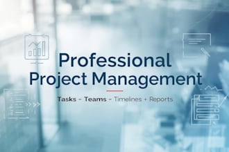 manage your project, tasks, and team professionally