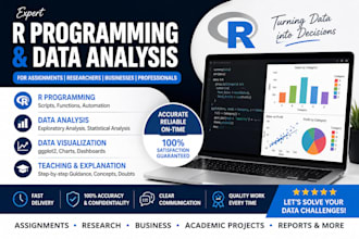 do r coding and programming using python, r or excel