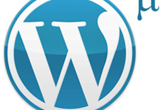 setup wordpress for multisite use