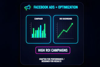 launch and manage a high ROI facebook ads campaign