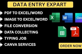 do error free fast and accurate data entry