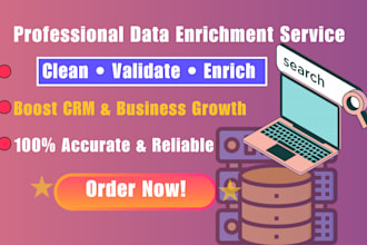 do professional data enrichment and lead enhancement services