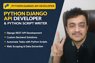 python django API developer