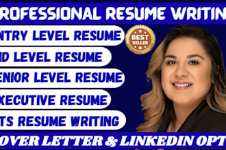 write professional resume executive resume ats usajob resume CV writing