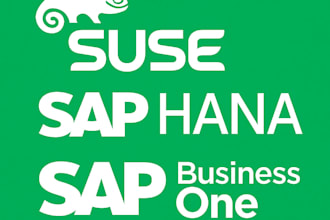 teach you how to install suse, hana and sap business one