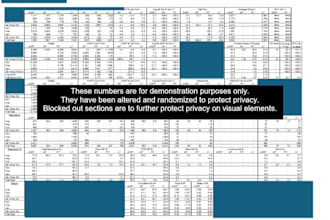 clean and organize your raw data into professional excel reports and summaries