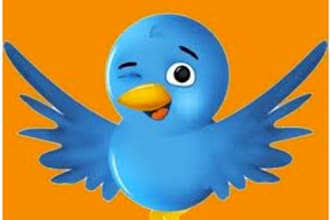 tweet your message one time to over 50,000 followers on my Twitter accounts