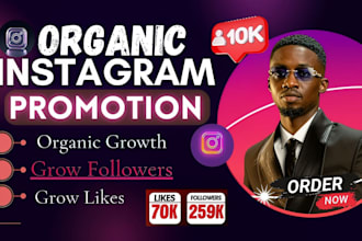 be your instagram marketing and promotion manager, instagram organic growth
