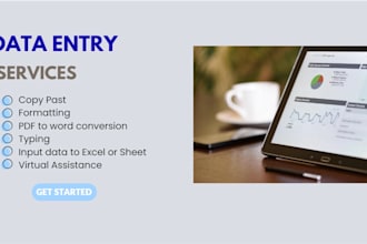 do data entry and file formating