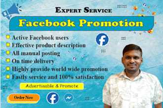 promote any business in USA by facebook marketing