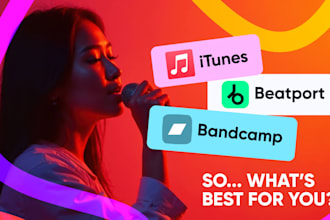 setup paid ads campaign for your bandcamp music promote beatstars