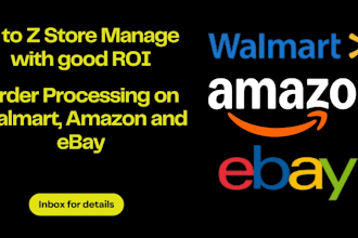 walmart, amazon, ebay account manage and order processing