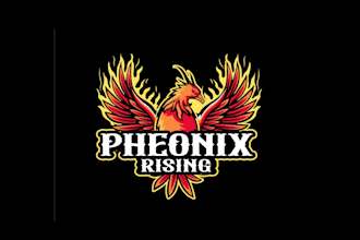 create wonderful and excellent phoenix logo design