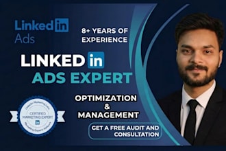 setup, manage, and optimize highly targeted linkedin ads campaigns