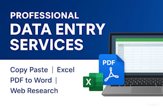 do accurate data entry, accounts spread sheets, copy paste
