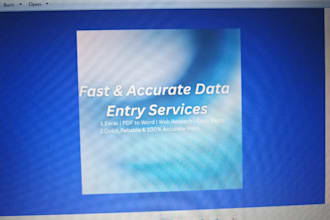 fast data entry work