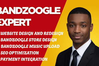 build, design responsive bandzoogle, website store redesign music upload and SEO