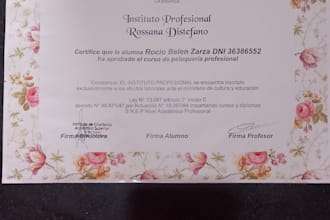 asistente virtual en español para atención al cliente