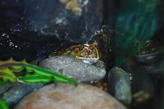 provide high quality scenic nature photography