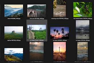 give 50 high quality nature photos