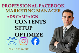 be your professional facebook ads and instagram marketing manager