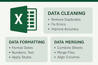 clean, merge, and format excel data professionally