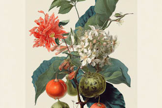 draw botanical illustration art for you