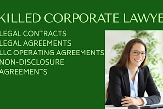 be your lawyer for legal agreements, contract, terms and conditions, mou or nda