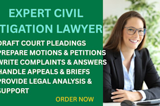 draft court pleadings such as complaints and motions