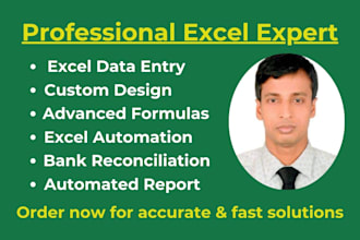 do any microsoft excel work in low price
