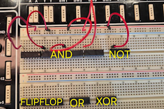 help you in dld pcb design,pcb circuit,logisim,altium